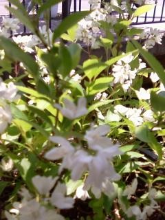 f:id:co-machi:20090509020511j:image
