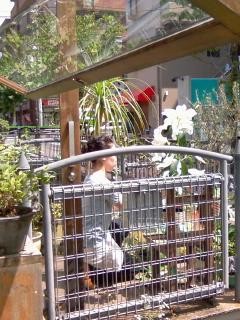 f:id:co-machi:20090730014020j:image