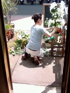 f:id:co-machi:20090730014033j:image
