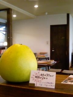 f:id:co-machi:20091212020944j:image