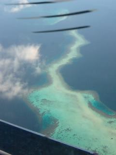 f:id:co-machi:20100114024510j:image