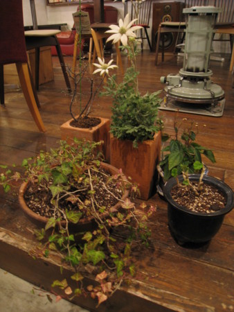 f:id:co-machi:20100121191512j:image