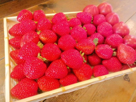 f:id:co-machi:20100219161534j:image