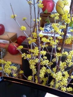 f:id:co-machi:20100228023130j:image