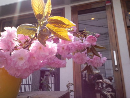 f:id:co-machi:20100414134321j:image