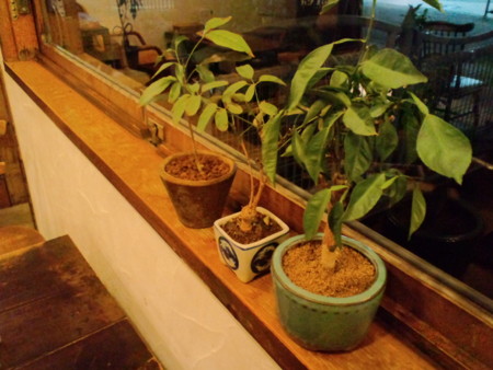 f:id:co-machi:20120122182014j:image