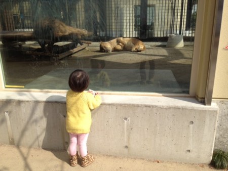 f:id:co-machi:20140219134127j:image