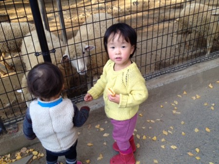 f:id:co-machi:20141210151931j:image