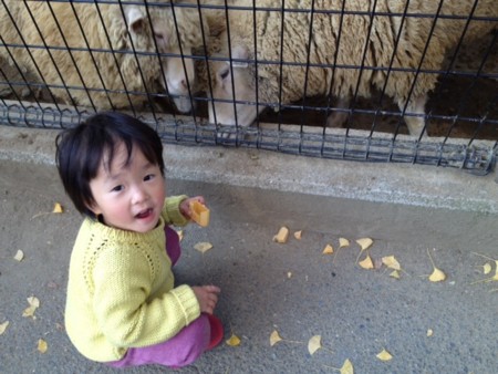 f:id:co-machi:20141210153236j:image