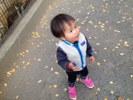 f:id:co-machi:20141210153320j:image