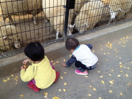 f:id:co-machi:20141210153329j:image