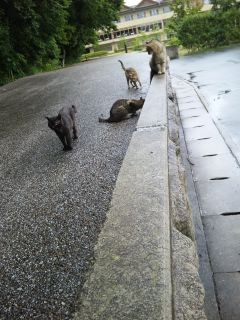 f:id:co72:20100626110842j:image f:id:co72:20100626110842j:image