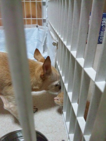 f:id:co72:20110729181209j:image