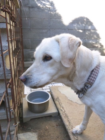 f:id:co72:20111126091746j:image