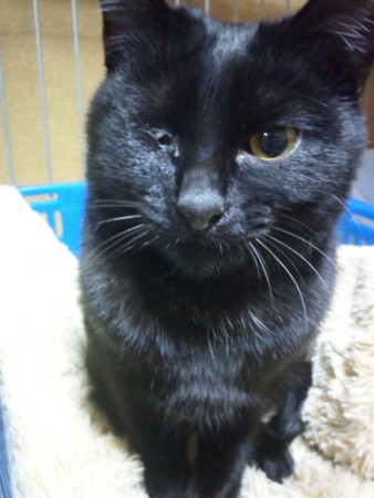 f:id:co72:20120313190014j:image
