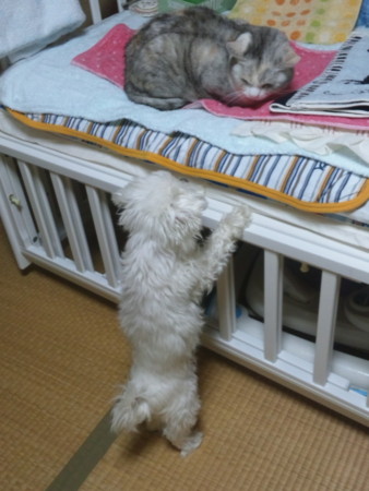 f:id:co72:20120326200028j:image
