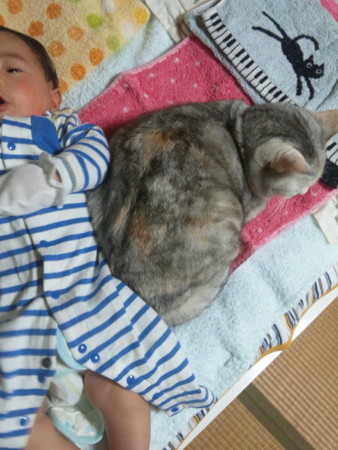 f:id:co72:20120326200646j:image