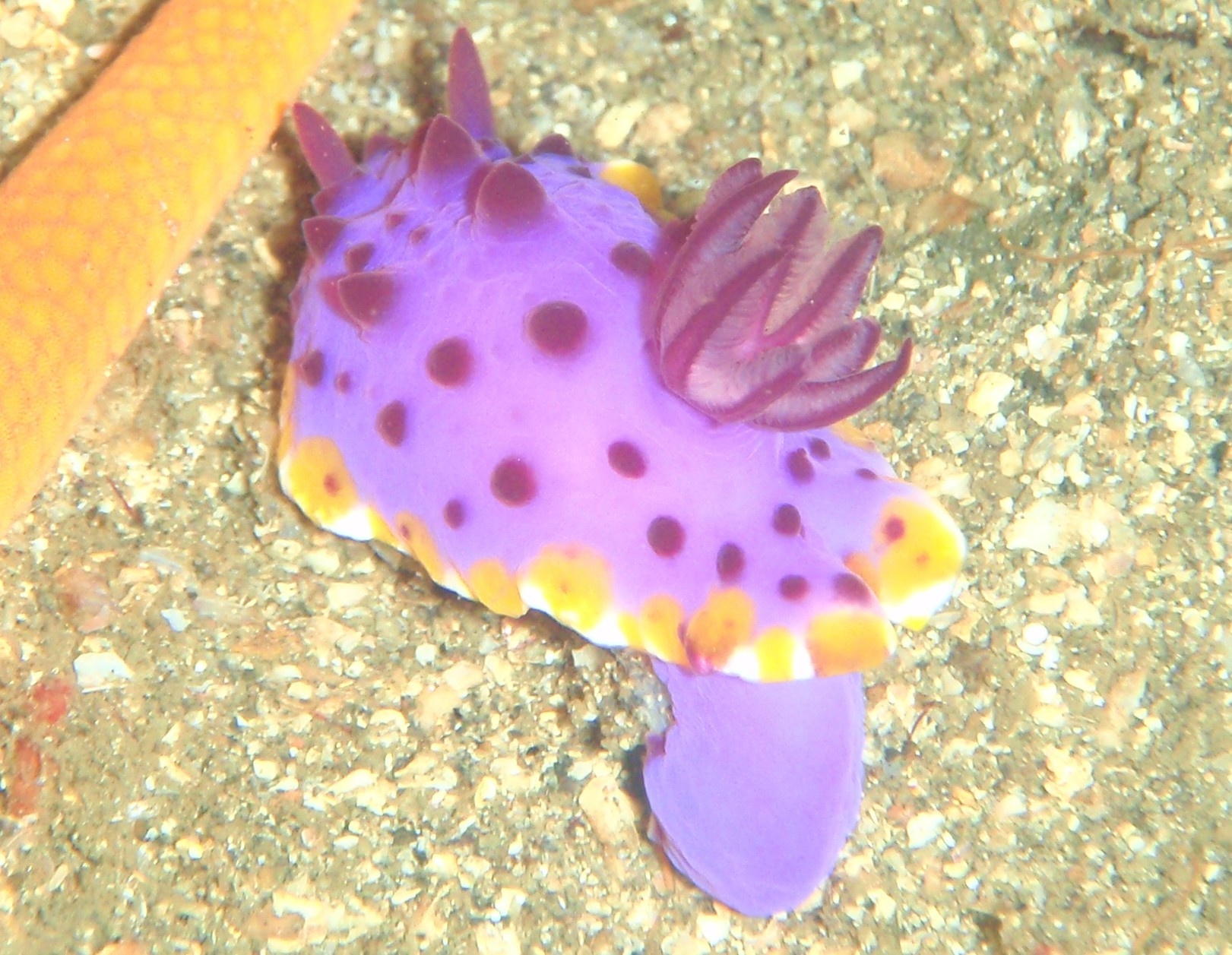 f:id:co8co8:20081022001602j:image:w250