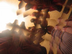 f:id:co_yu:20090212214832j:image