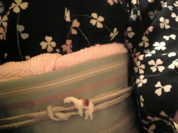 f:id:co_yu:20090308003200j:image