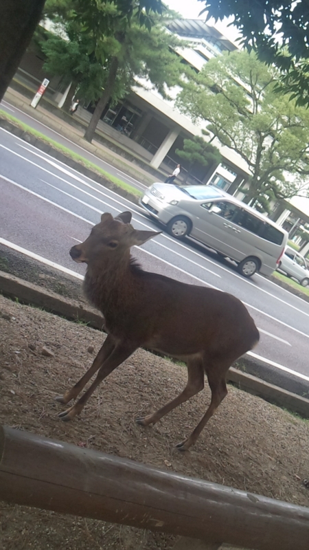 f:id:coa_coa:20121010121941j:image:w360
