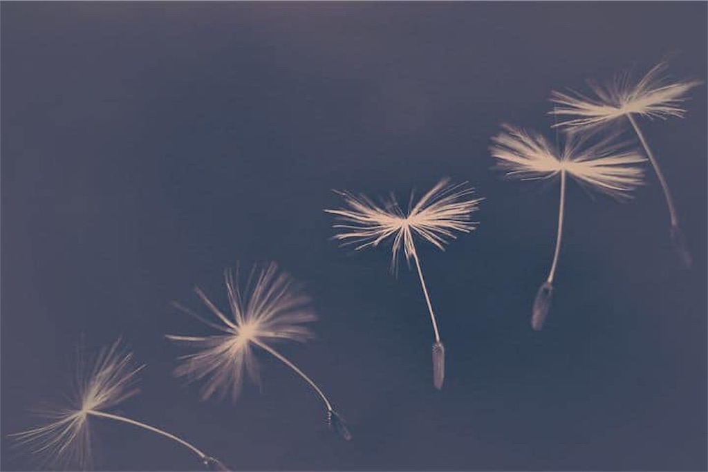 f:id:coachingpartner:20190518185258j:image