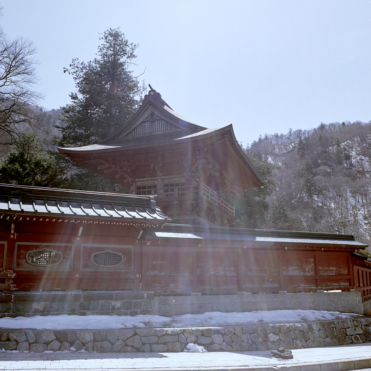 f:id:coalfishsholco:20200329100410j:plain f:id:coalfishsholco:20200329100410j:plain