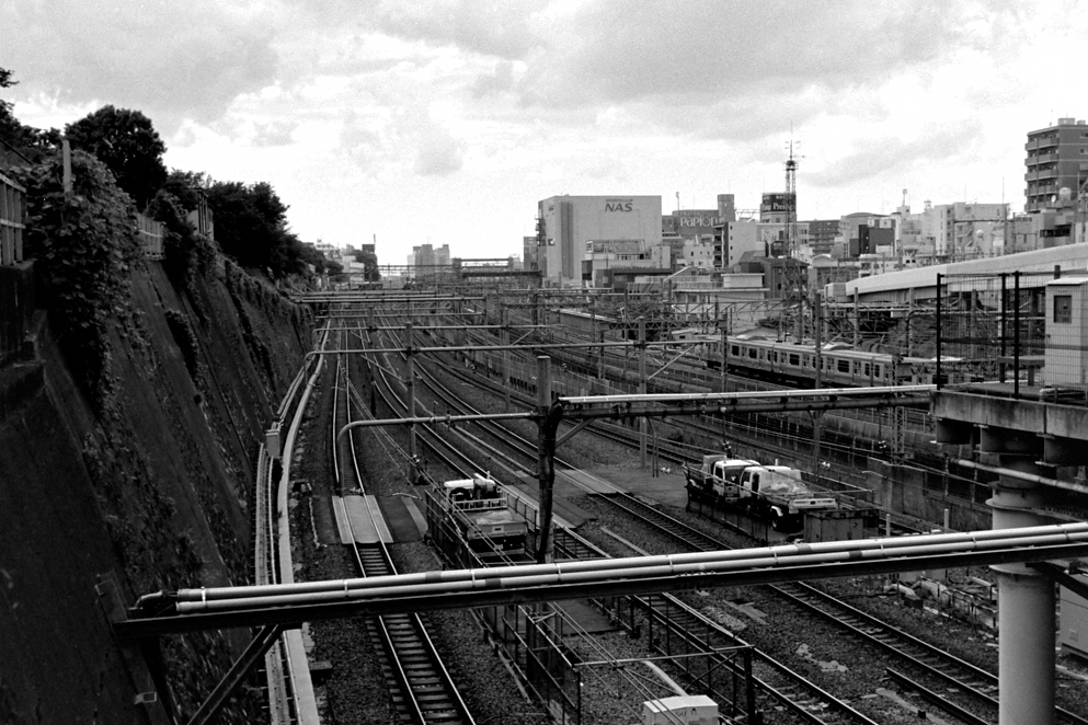 Leica Summicron 35mm (6 elements)(6枚玉) - Castle Rock Photography