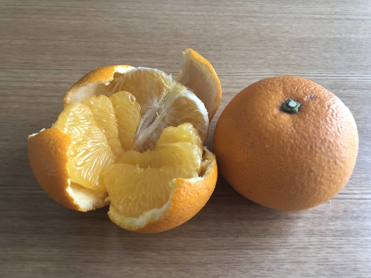 f:id:coasan:20220304154824j:plain