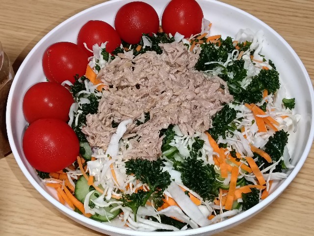 f:id:cobamix:20250513205639j:image