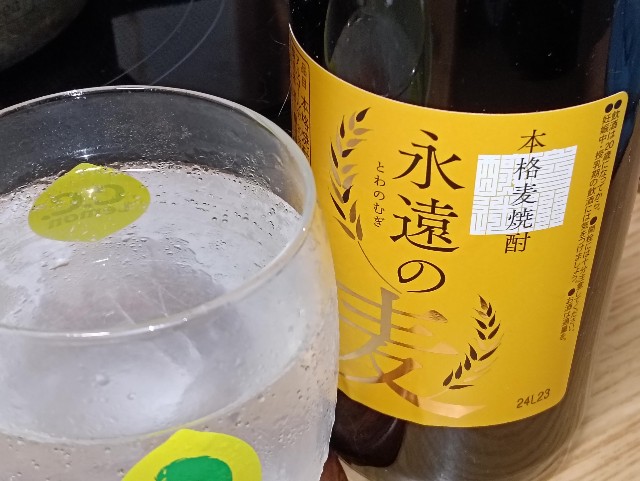 f:id:cobamix:20250513205804j:image