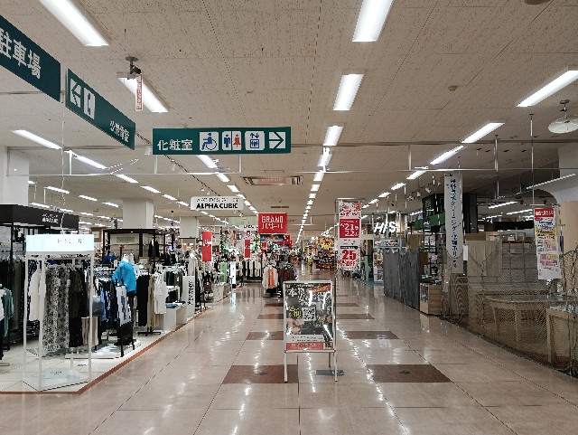 f:id:cobamix:20250622113218j:image