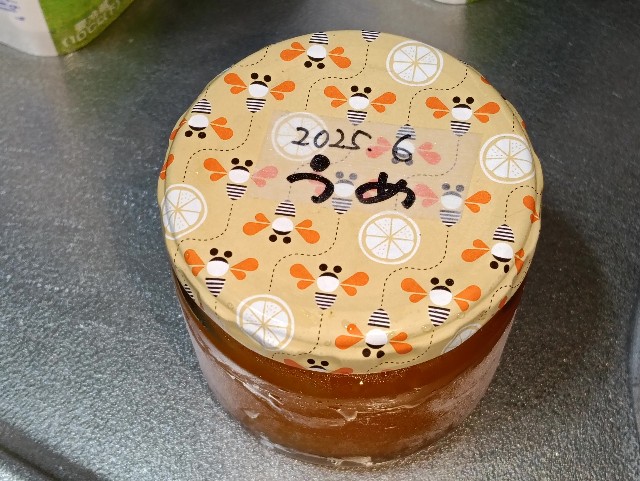 f:id:cobamix:20250623200039j:image