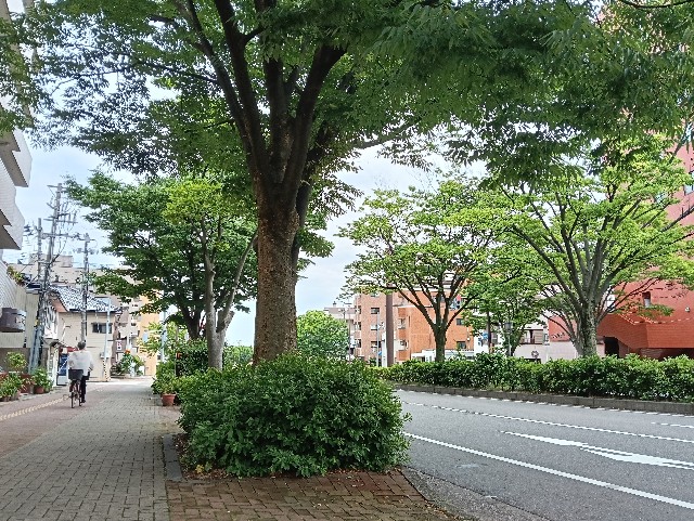 f:id:cobamix:20250625094745j:image