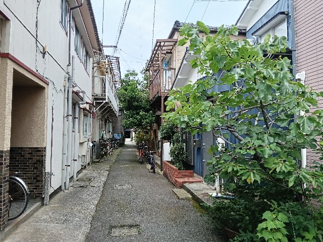 f:id:cobamix:20250625112603j:image