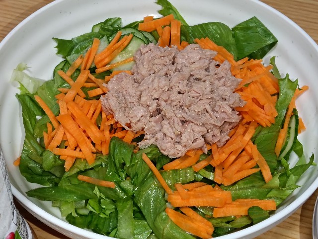 f:id:cobamix:20250626210149j:image