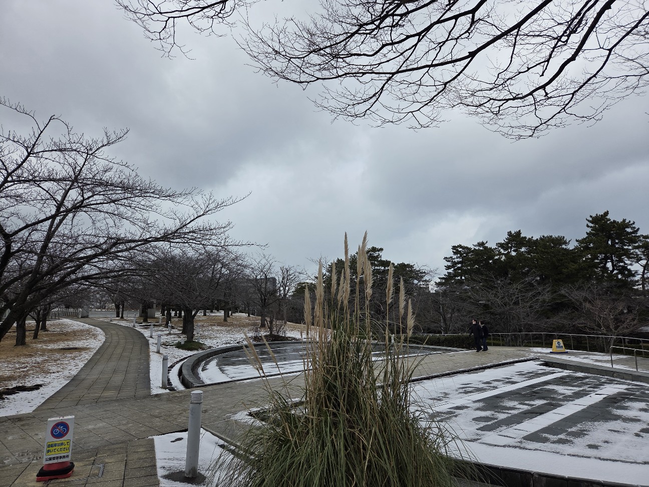 f:id:cobamix:20260112120620j:image