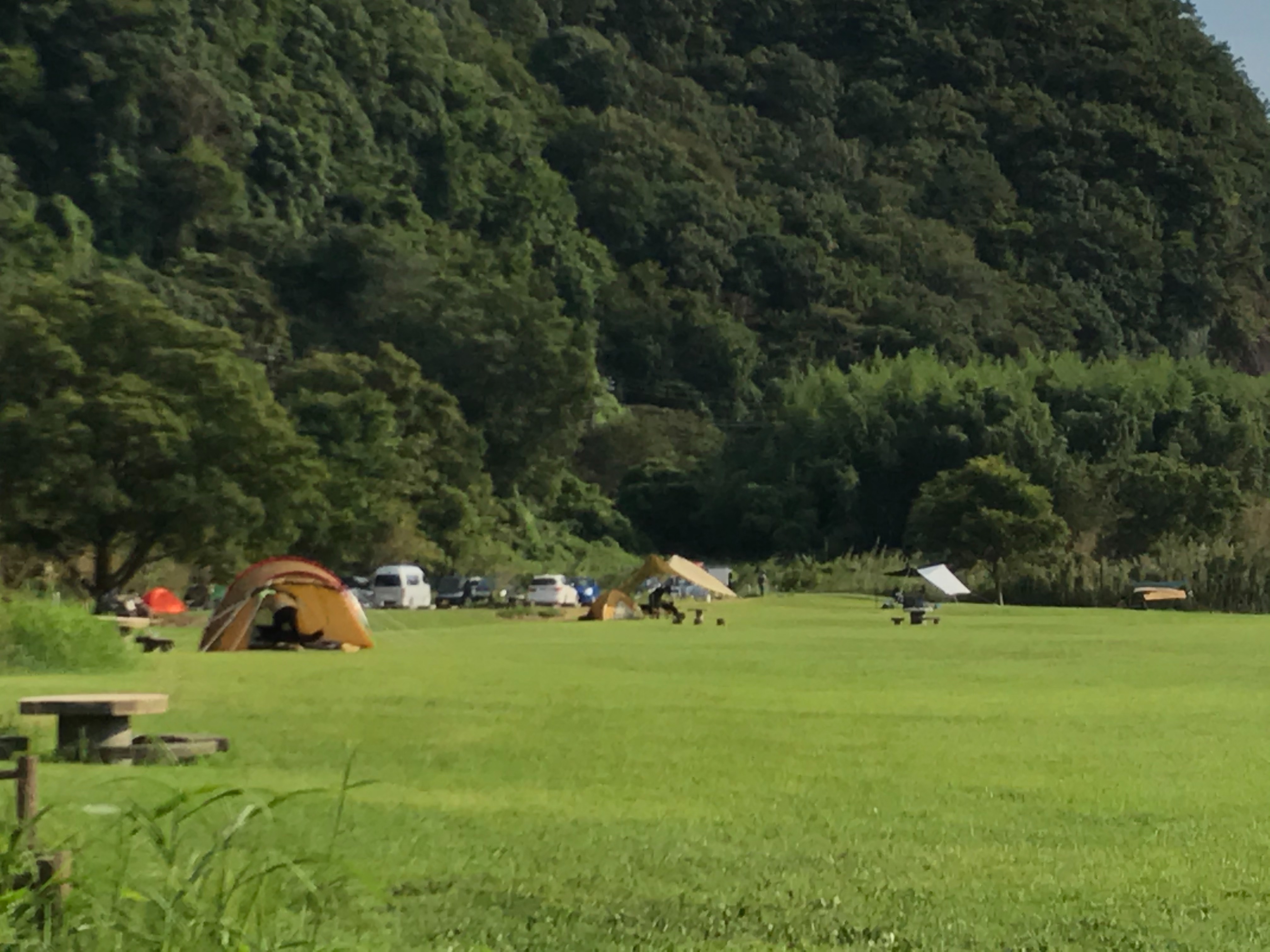 f:id:cobumaki:20201017204750j:image