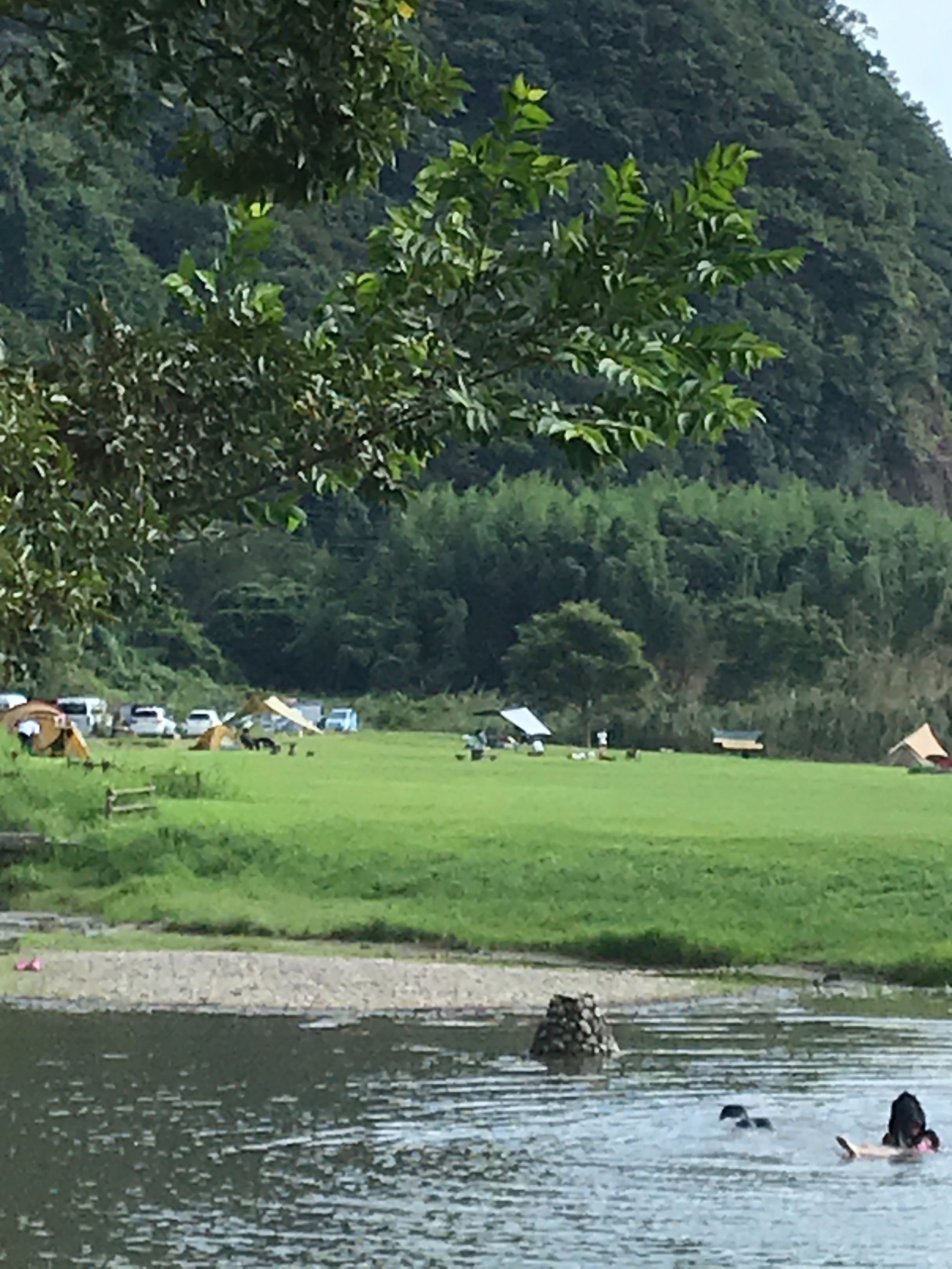 f:id:cobumaki:20201017204923j:image