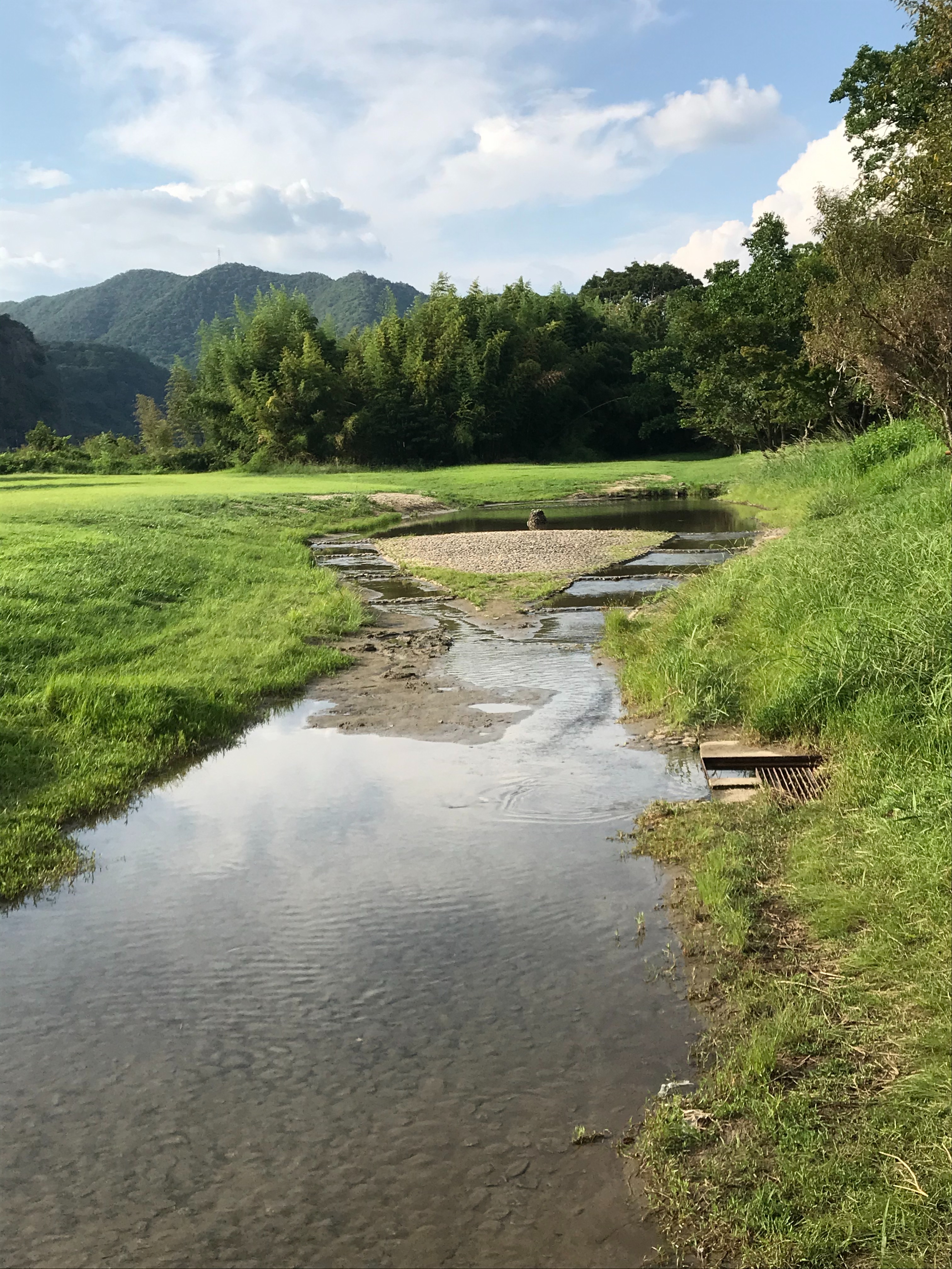 f:id:cobumaki:20201017204954j:image