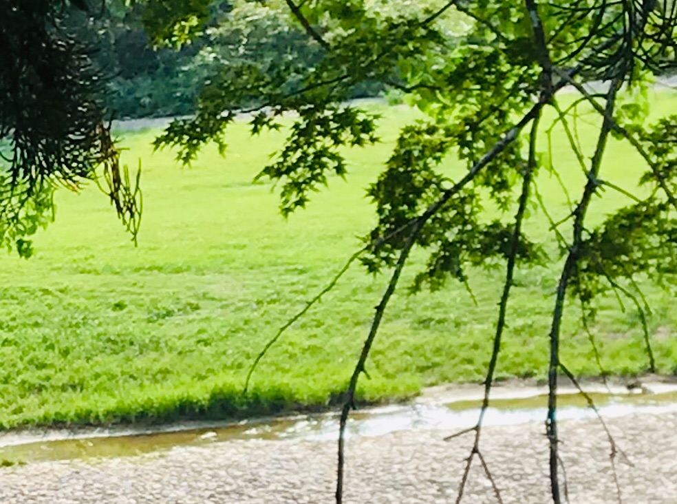 f:id:cobumaki:20201017205122j:image