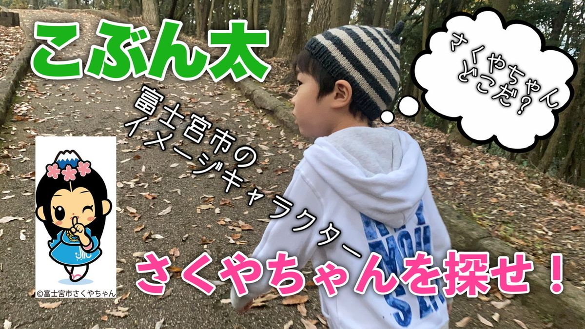 f:id:cobunta:20210120042933j:plain