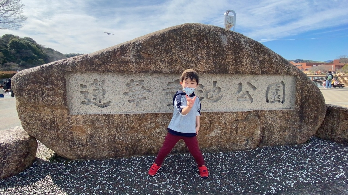 f:id:cobunta:20210304233528j:plain