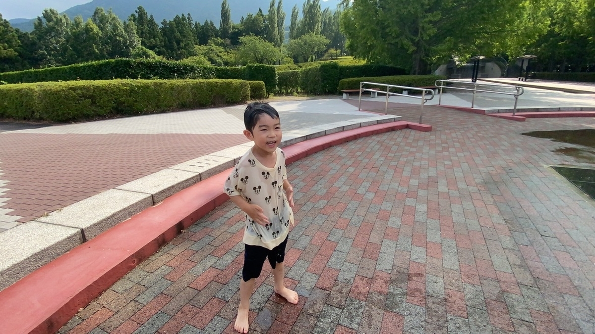 f:id:cobunta:20210806182242j:plain