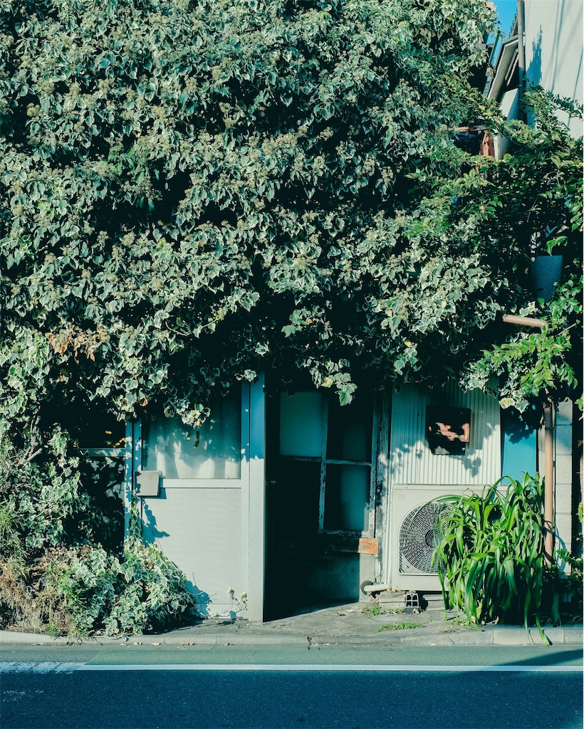 f:id:cobutan:20251227113030j:image