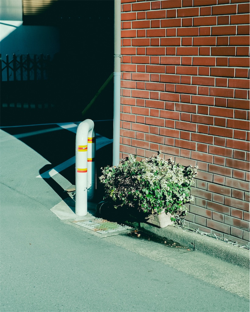 f:id:cobutan:20251227113033j:image