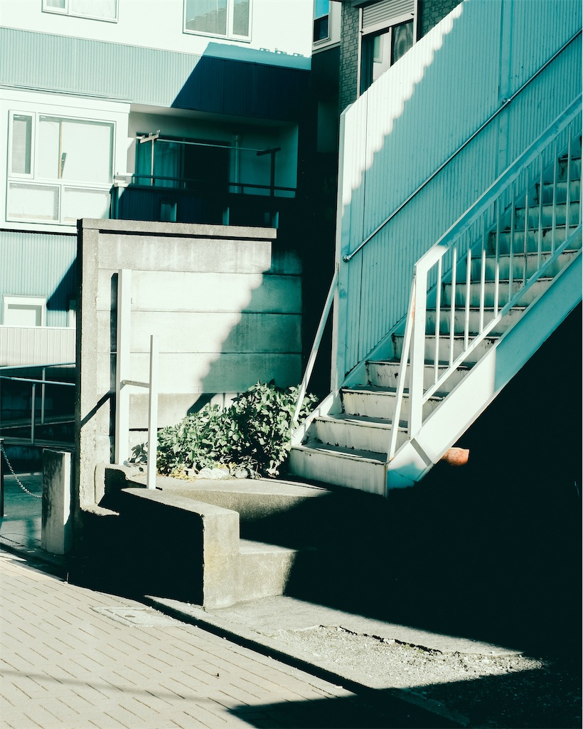 f:id:cobutan:20251227113037j:image