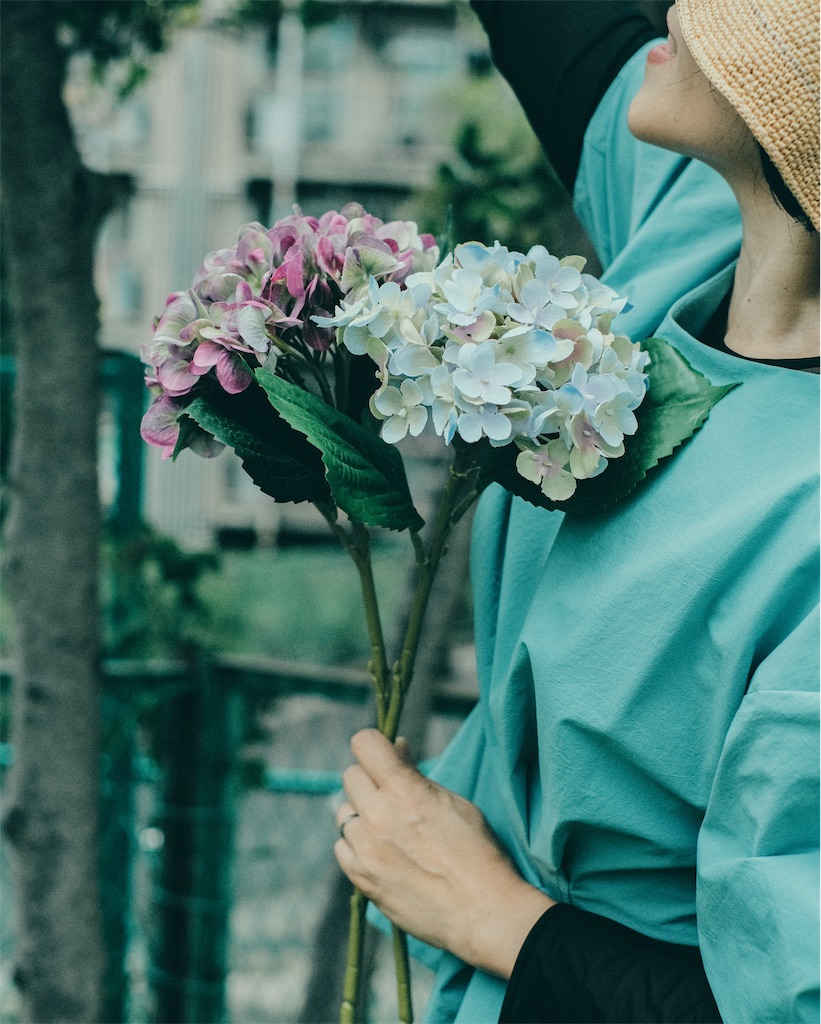 f:id:cobutan:20260615194459j:image