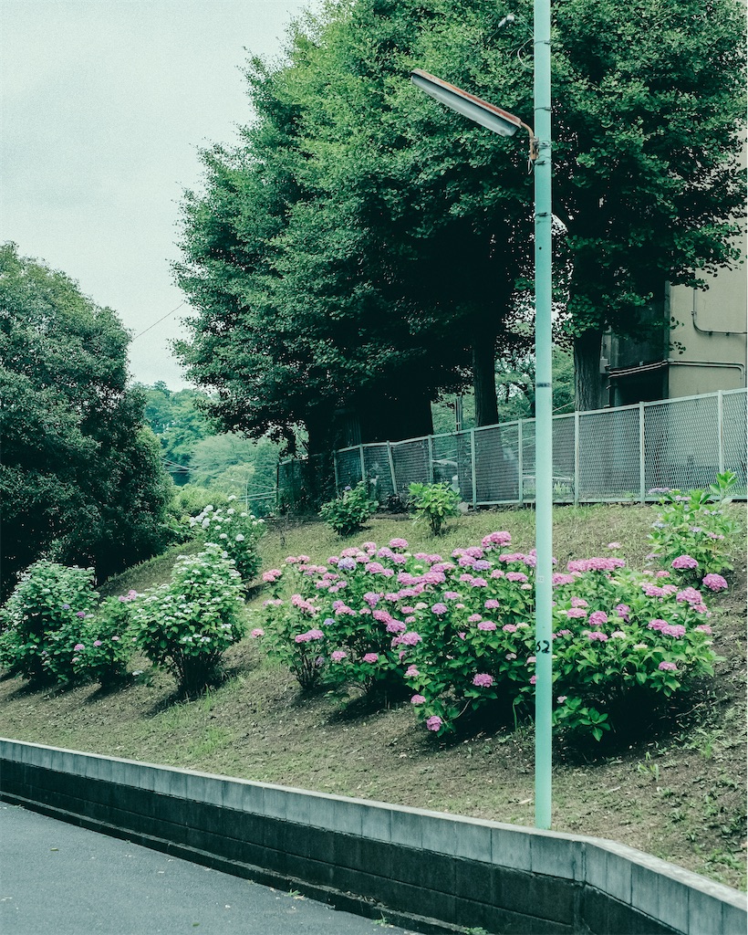 f:id:cobutan:20260615194505j:image