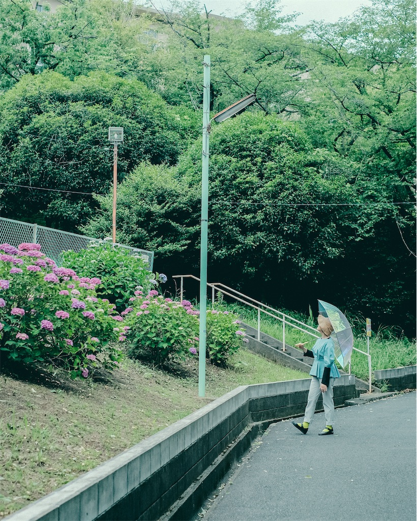 f:id:cobutan:20260615194513j:image